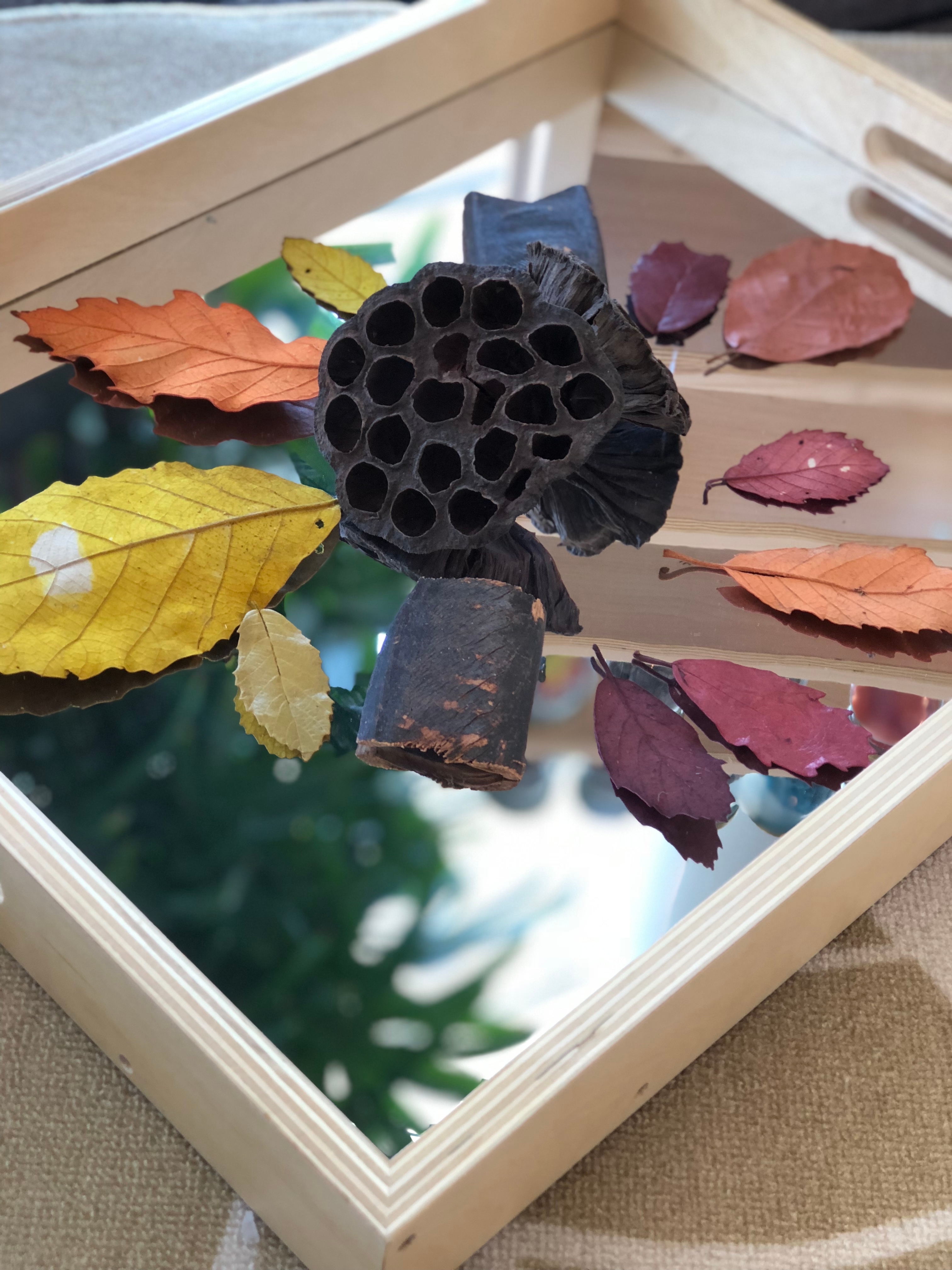 loose parts on a mirror
